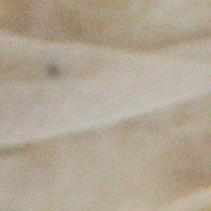 M-N Caron ''Bord de mer''